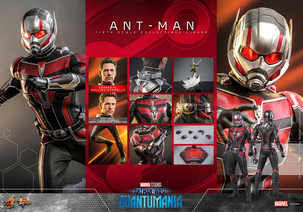 Hot toys best sale ant man endgame