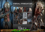 PRE-ORDER: Hot Toys Prey Feral Predator Sixth Scale Figure