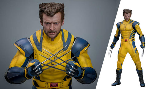 PRE - ORDER: Hot Toys Deadpool 3: Wolverine (Deluxe Version) Sixth Scale Figure - collectorzown