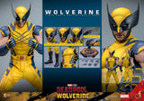 PRE - ORDER: Hot Toys Deadpool 3: Wolverine Sixth Scale Figure - collectorzown