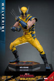 PRE - ORDER: Hot Toys Deadpool 3: Wolverine Sixth Scale Figure - collectorzown