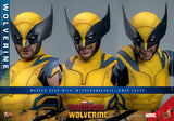 PRE - ORDER: Hot Toys Deadpool 3: Wolverine Sixth Scale Figure - collectorzown