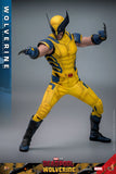 PRE - ORDER: Hot Toys Deadpool 3: Wolverine Sixth Scale Figure - collectorzown