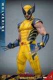 PRE - ORDER: Hot Toys Deadpool 3: Wolverine Sixth Scale Figure - collectorzown