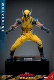 PRE - ORDER: Hot Toys Deadpool 3: Wolverine Sixth Scale Figure - collectorzown