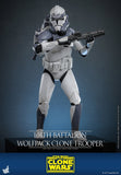 PRE - ORDER: Hot Toys Star Wars 104th Battalion Wolfpack Clone Trooper Sixth Scale Figure - collectorzown