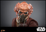 PRE - ORDER: Hot Toys Star Wars Plo Koon Sixth Scale Figure - collectorzown