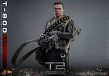 PRE - ORDER: Hot Toys Terminator 2 T - 800 (2.0) Sixth Scale Figure - collectorzown