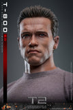 PRE - ORDER: Hot Toys Terminator 2 T - 800 (2.0) Sixth Scale Figure - collectorzown