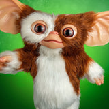 PRE - ORDER: Trick Or Treat Studios Gizmo Mogwai Prop Replica - collectorzown