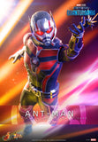 PRE-ORDER: Hot Toys Ant-Man and the Wasp: Quantumania Ant-Man Sixth Scale Figure - collectorzown