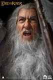 PRE-ORDER: Infinity Studio The Lord of the Rings Master Forge Series Gandalf the Gray (Ultimate Edition) 1/2 Scale Limited Edition Statue - collectorzown